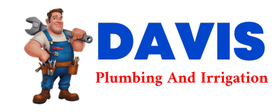 Trusted plumber in HUGHESVILLE